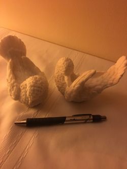 Birds