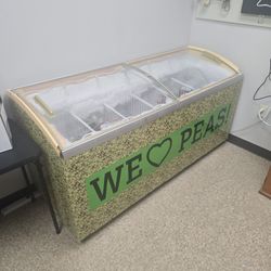 Commercial Chest Freezer 