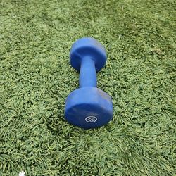 10Lb Dumbell