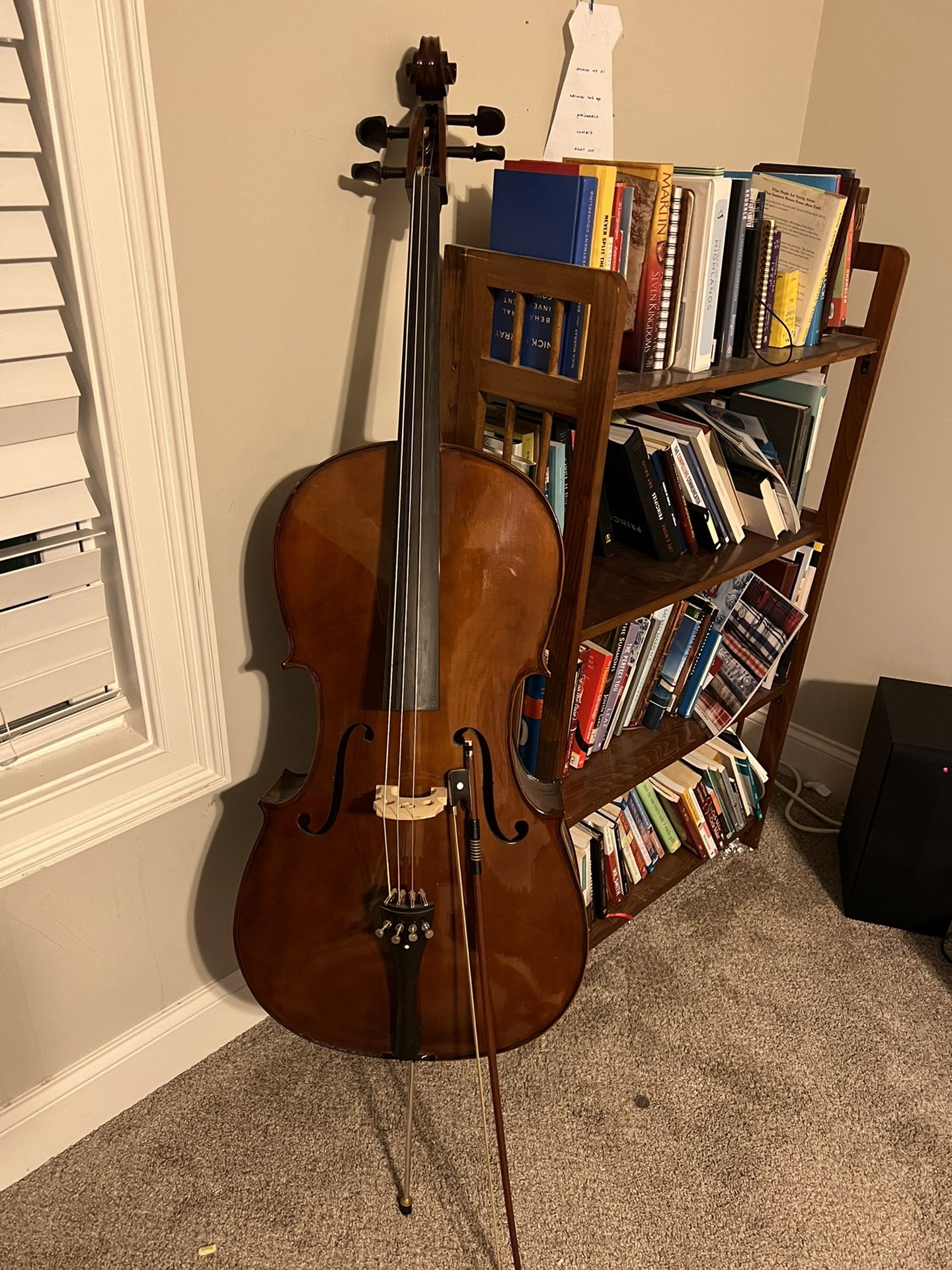 Cello Adult Size Cecilio 