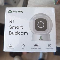 Hey Abby R1 Smart Budcam