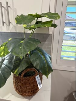 30” Faux pothos plant