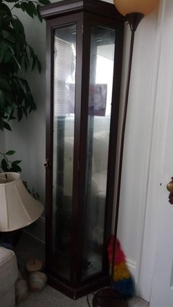 Tall Wood and Glass Curio Display Cabinet