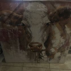Cow picture