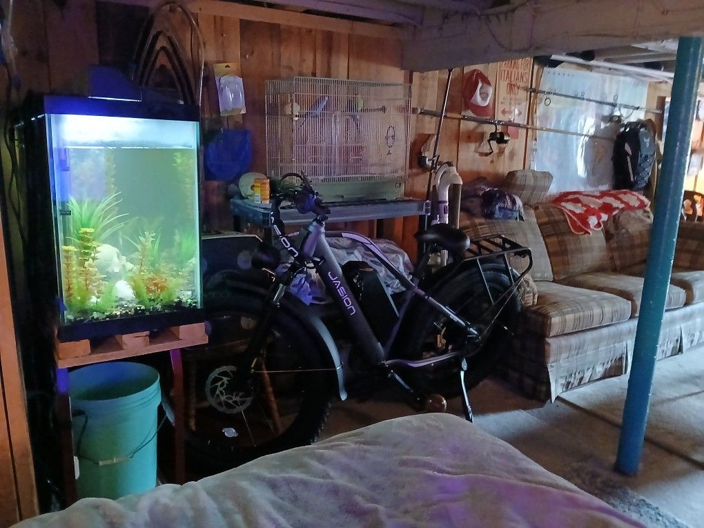 55 Gallon Aquarium