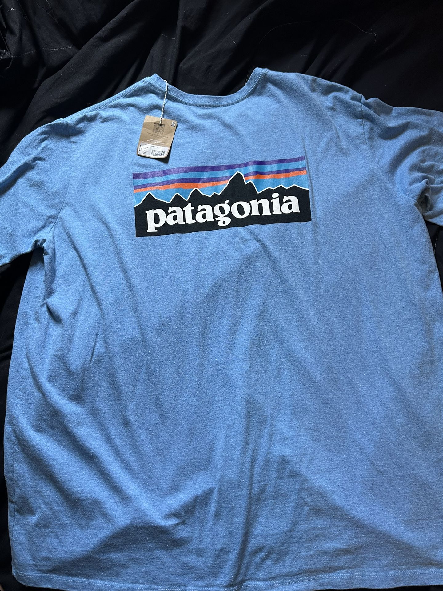 Patagonia Classic