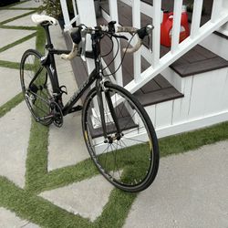 Full Carbon Specialized Bike 