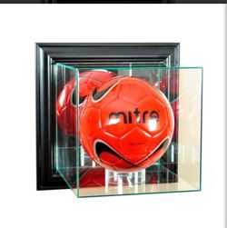 Wall mount glass display case
