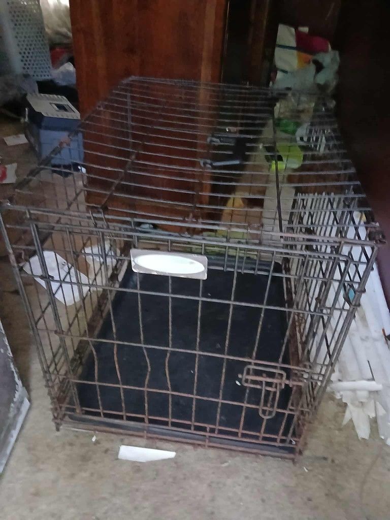 Dog Cage 