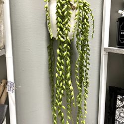 Mother Of Pearl Greenery Hanging Flower Pot