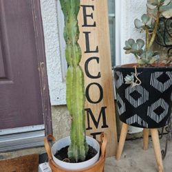 Welc9me Sig. And Cactus.pot. Available 