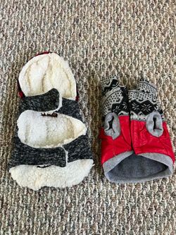 Dog outfit
