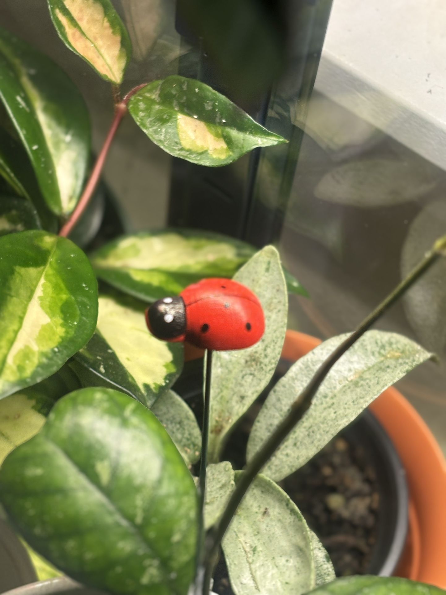 Ladybug stick for plants