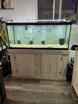 75 gallon aquarium