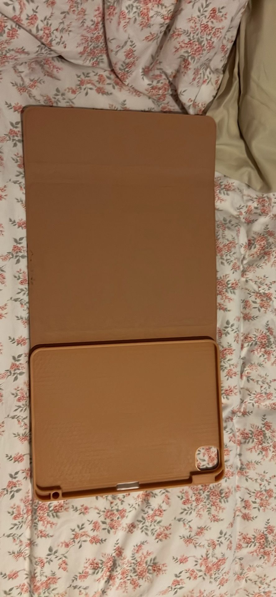 iPad Case
