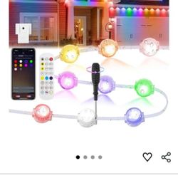 Permanent Outdoor Lights