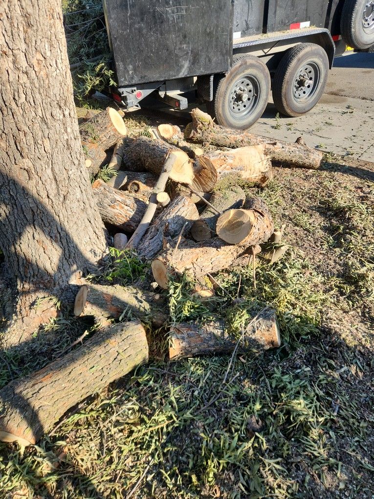 Firewood