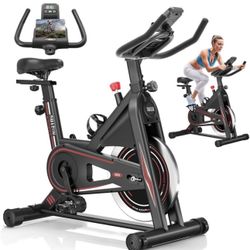 DMASUN Indoor Exercise Bike 