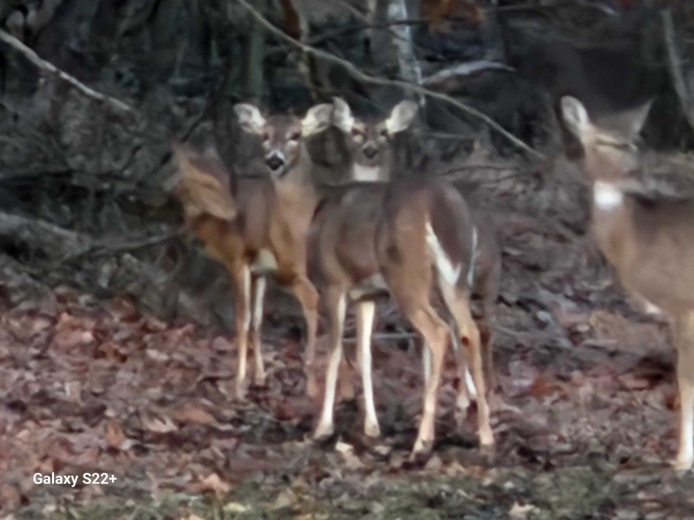 Hunting Pants With Hunting Backpack Full Gear