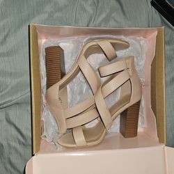 Womans Heels Size 6