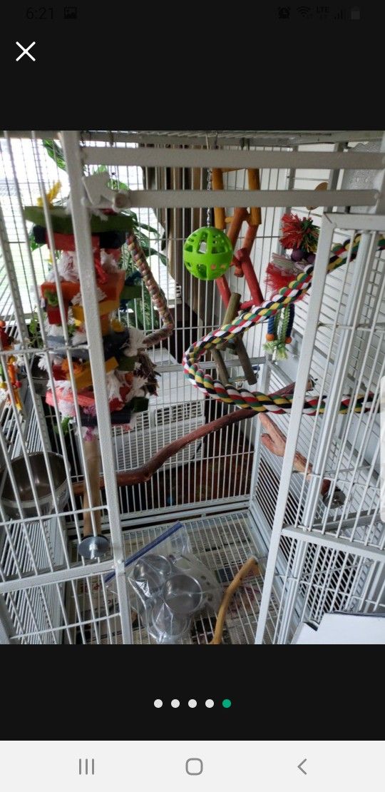 Parrot Cage