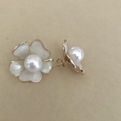 Earrings In Gold Plated