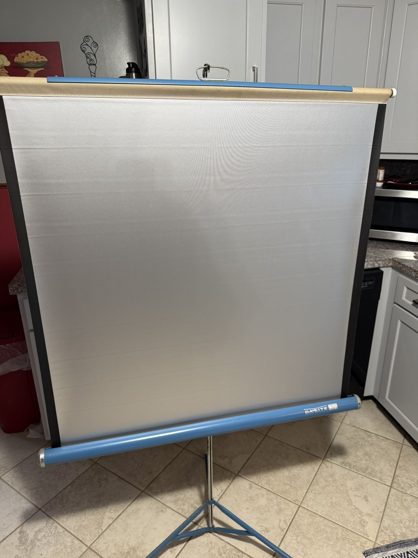 Portable Screen 
