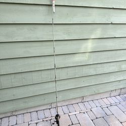 Fishing Rod with Reel