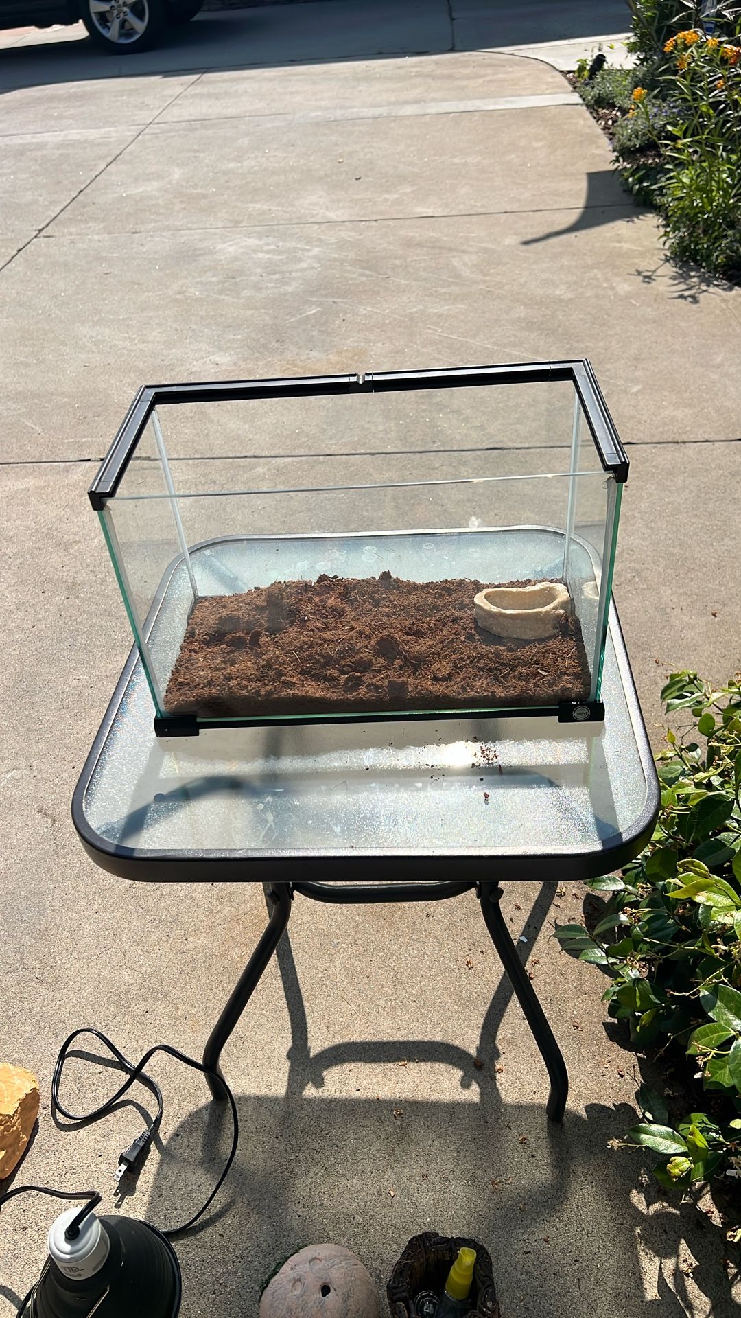 Glass Terrarium