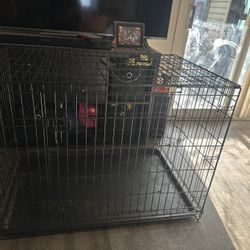 Large Dog Kennel