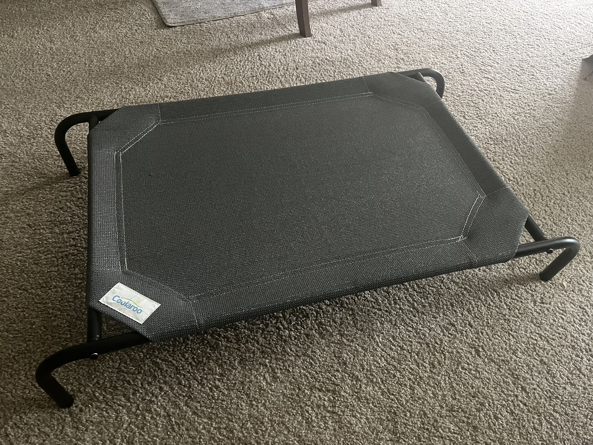 Elevated Outdoor Dog Bed