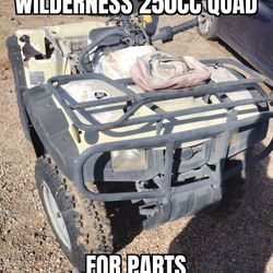 Wilderness 250cc Quad / ATV For Sale