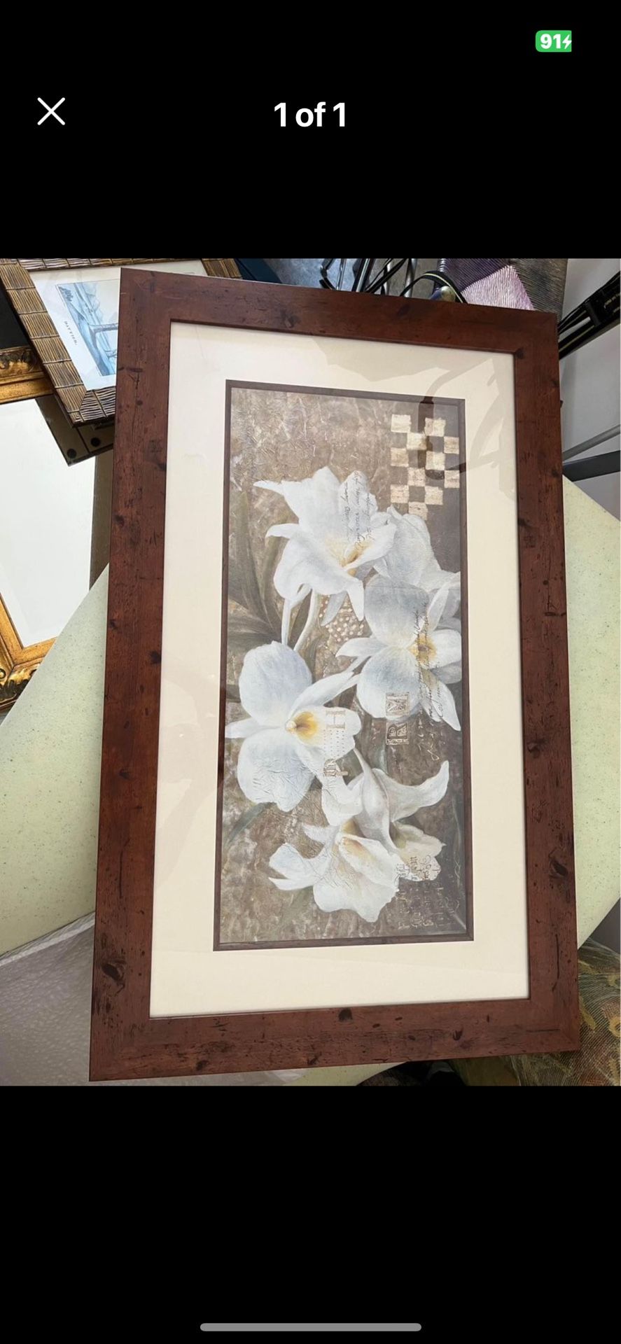 Framed Flower Print Art