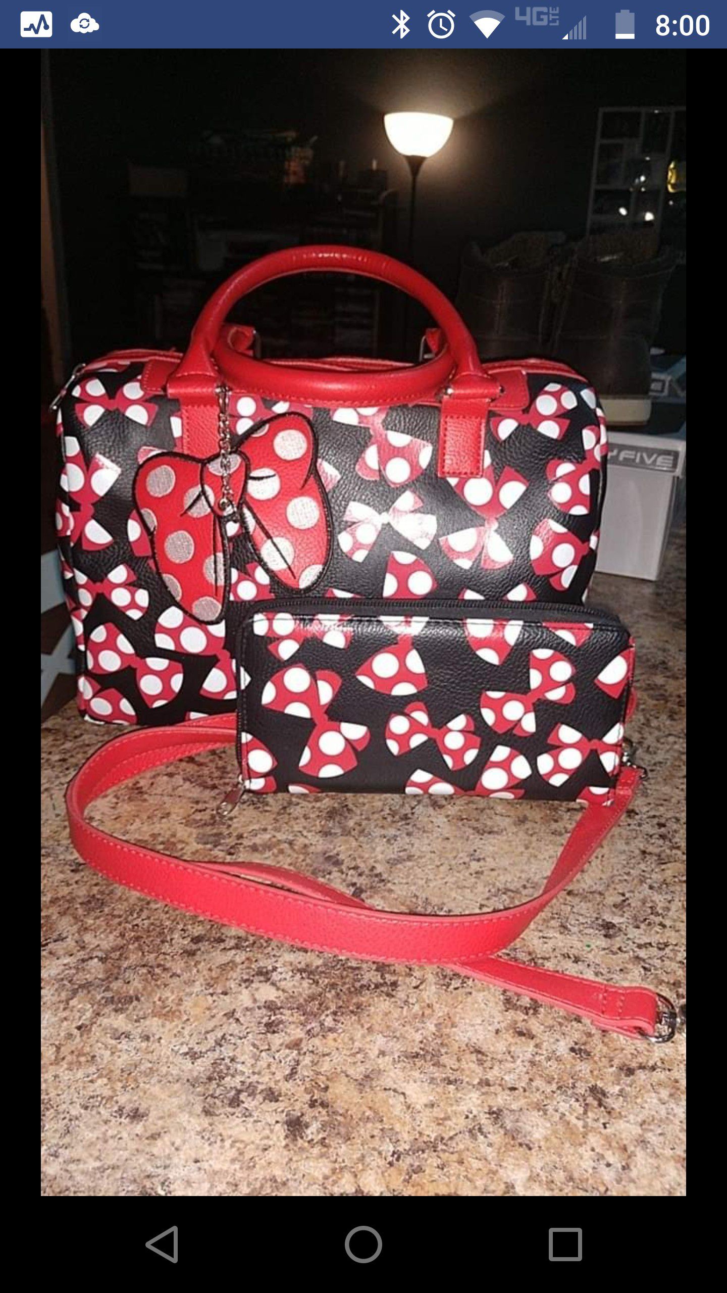 Mini mouse purse and wallet