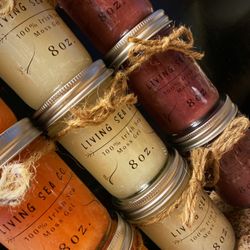 Living Sea Co. Sea Moss