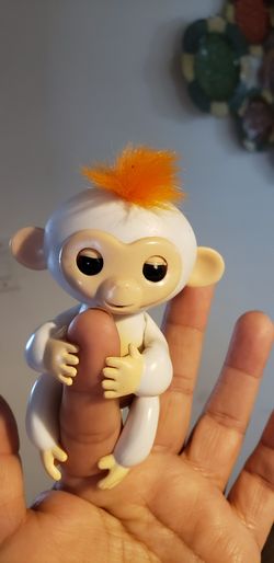 Finger monkey