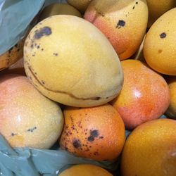 Mangos 5 For $10 