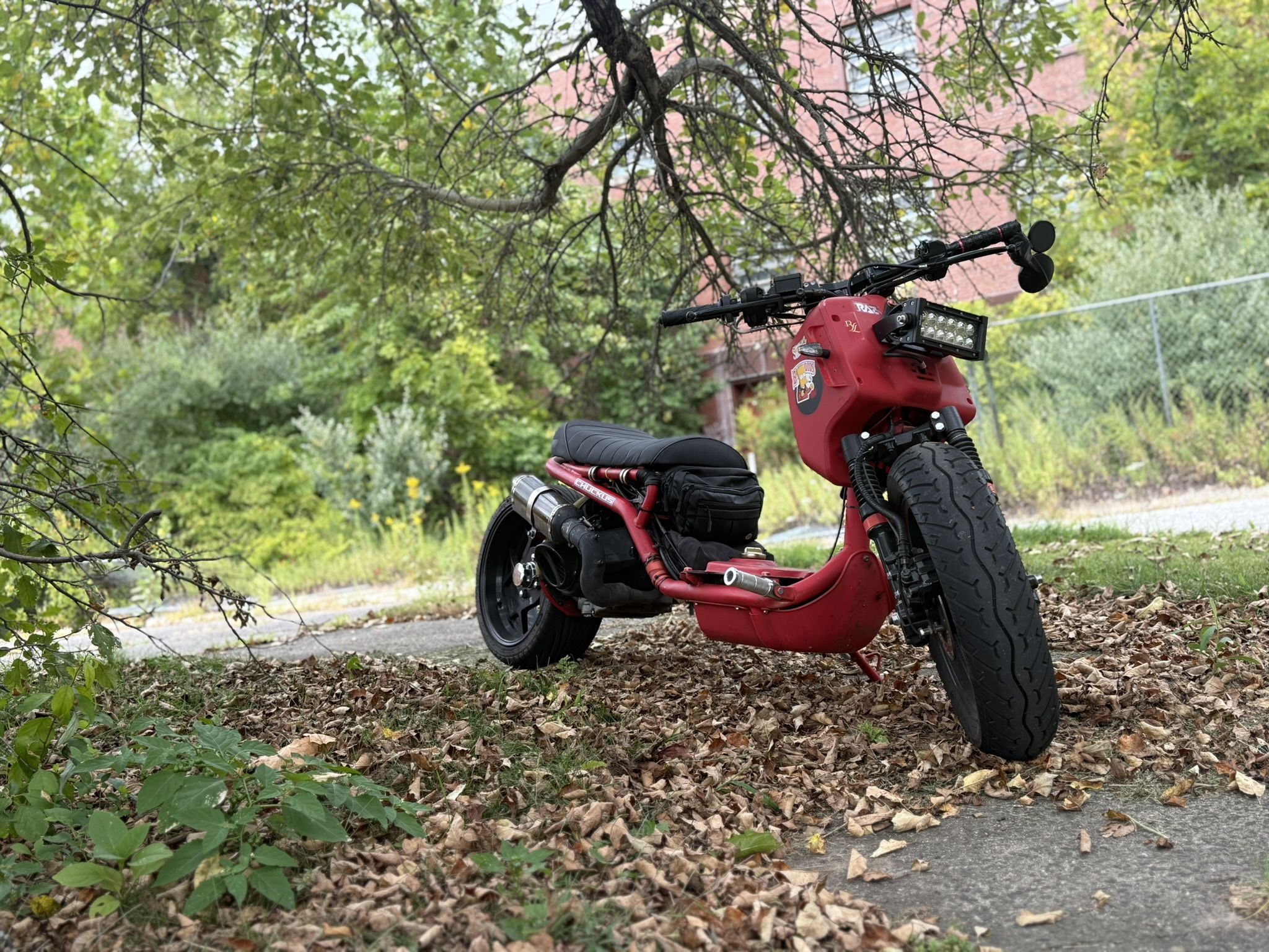 2018 Ice bear Maddog 150cc