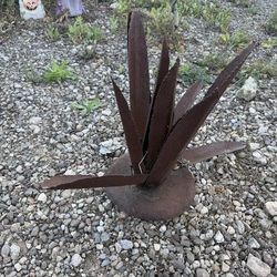 Rustic Metal Century Plant Project