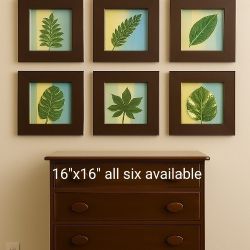 3D $20 ea 6 Botanical Wall Decor – Nature-Inspired Elegance shadow box 16"