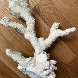 Large Coral For Fish Tank