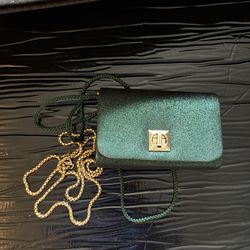 Green and gold small side purse