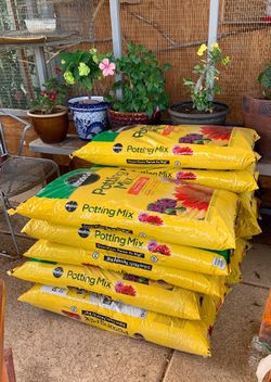 Potting Soil