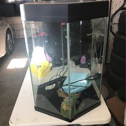Fish Tank