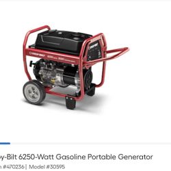 Troy Bilt Generator