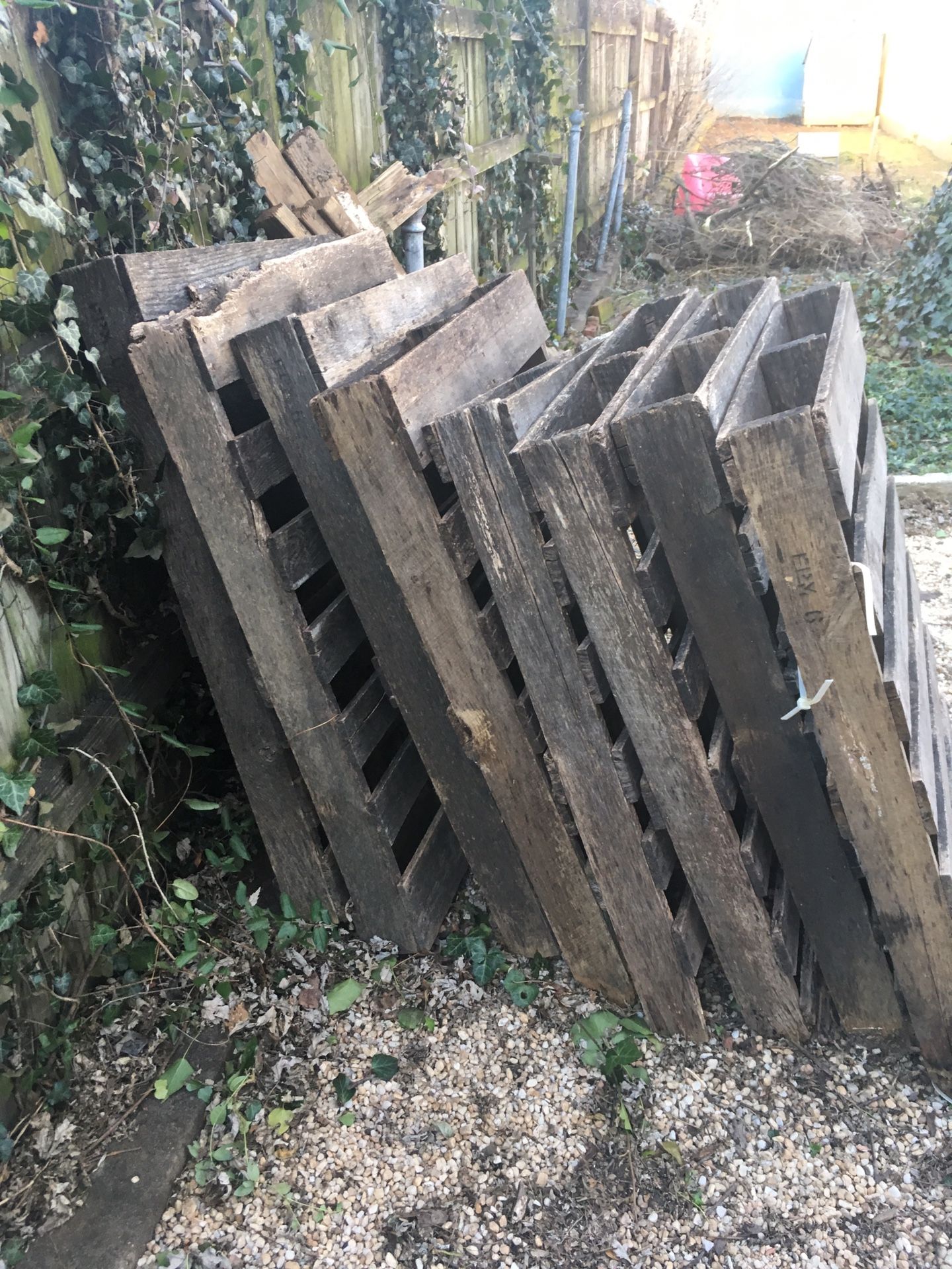 FREE Pallets & Tomato Cages