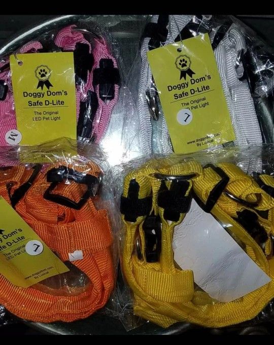 Dog Collars / Leashes And Harness 