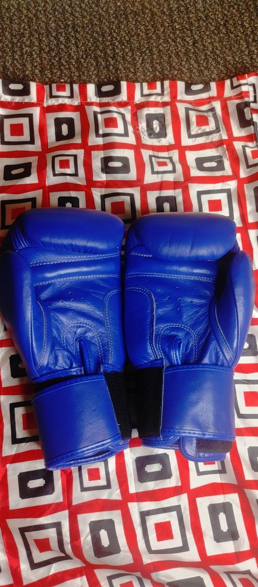 Pro Main Event Boxing Gloves