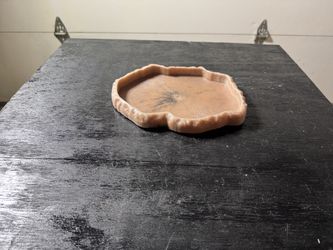 Reptile Supplies - Lg Flat Rock Style Food Dish