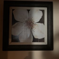 Large magnolia picture